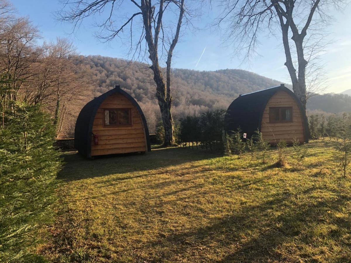 Pyrenees Emotions, Eco-Responsables, Nature, Sports Aventures Malvézie Exterior photo