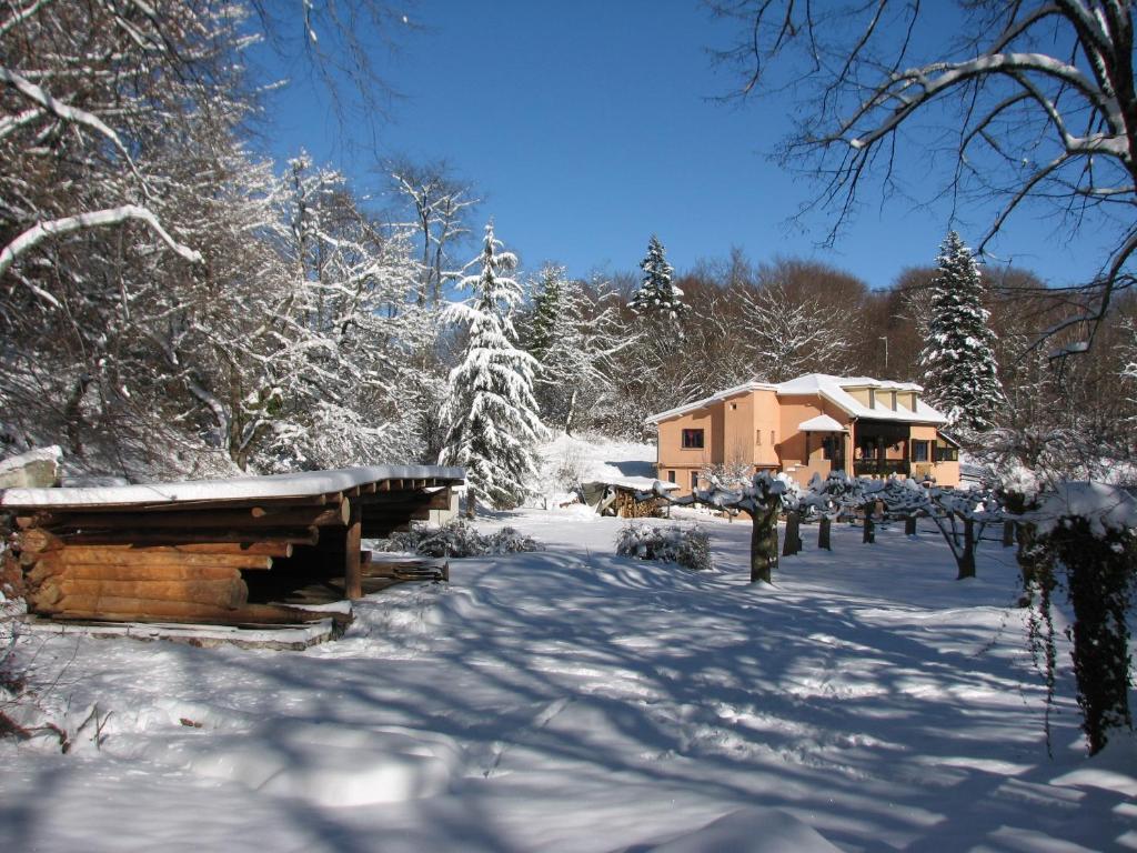 Pyrenees Emotions, Eco-Responsables, Nature, Sports Aventures Malvézie Exterior photo